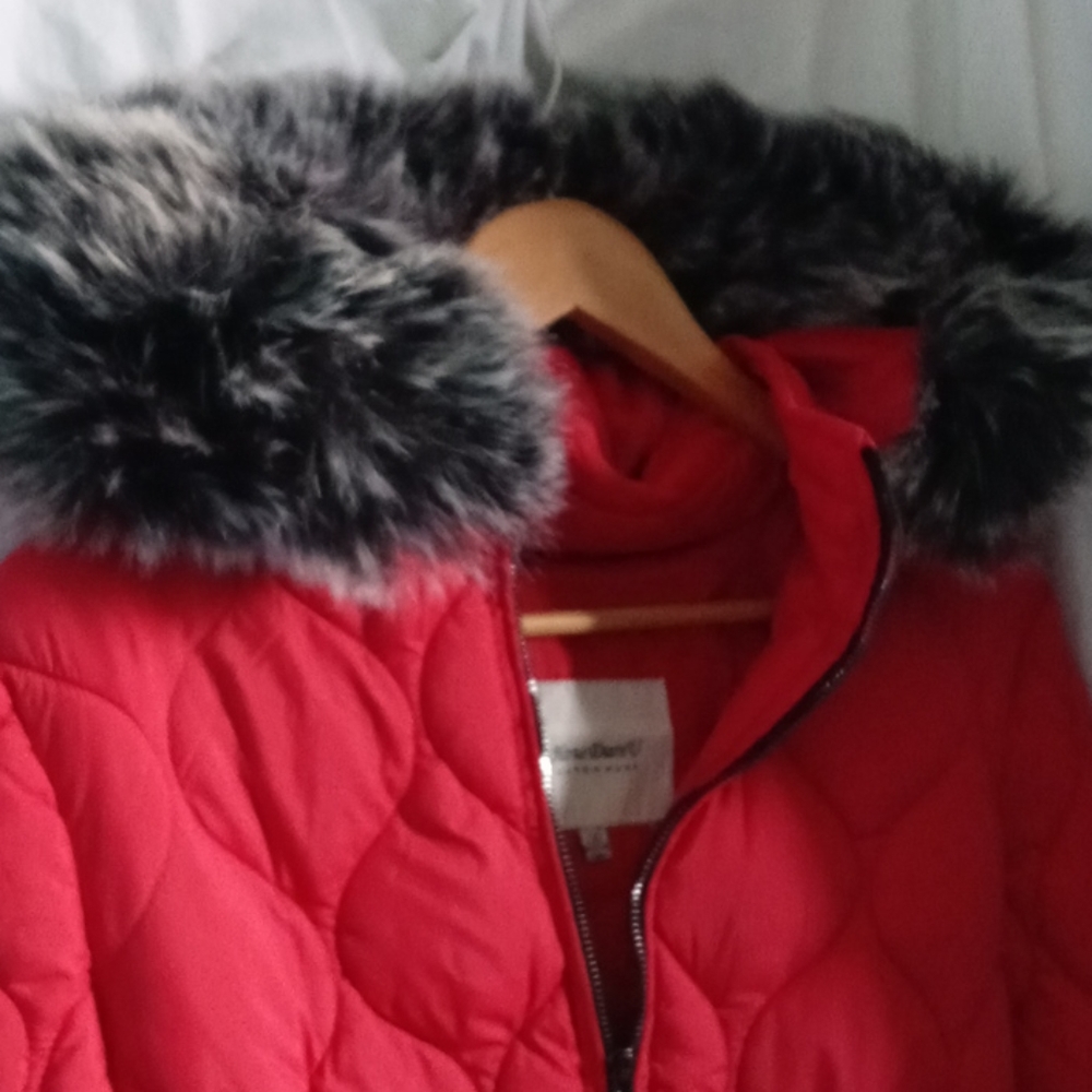 Winter light jacket - Picture 3 of 8